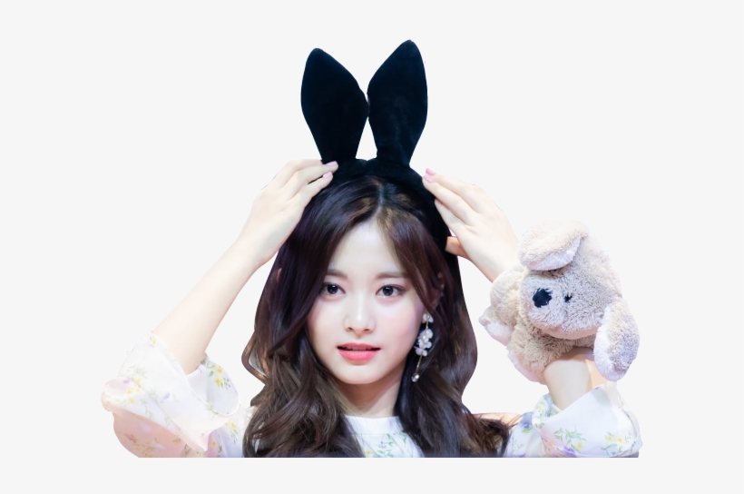 Report Abuse - Tzuyu, transparent png #2269080