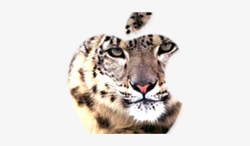Snow Leopard Icon - Snow Leopard, transparent png #2269176