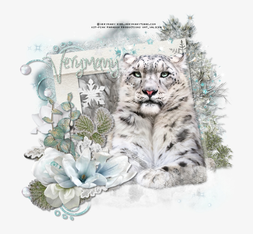 Snow Leopard By Verymany Found Here - Snow Leopard, transparent png #2269367