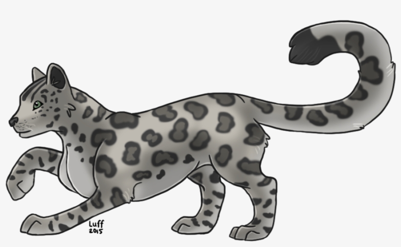 Snow Leopard - Clouded Leopard, transparent png #2269437
