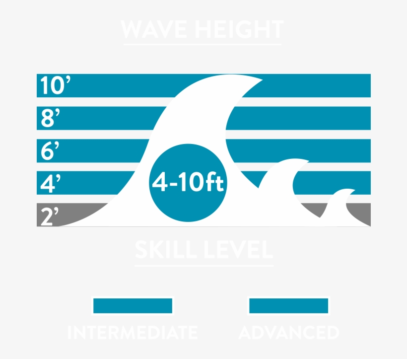 A Pulled In Pintail For Maximum Hold In Solid Waves - Graphic Design, transparent png #2269720