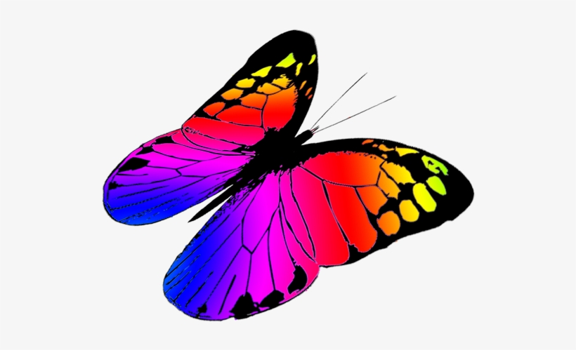 Monarch Butterfly Clipart Three - Colorful Butterflies Flying Png, transparent png #2269722
