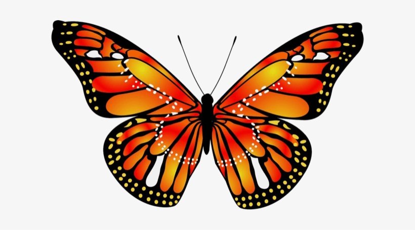 Beautiful Butterfly Sticker Pack Messages Sticker-8 - Blue Monarch Butterfly, transparent png #2269969