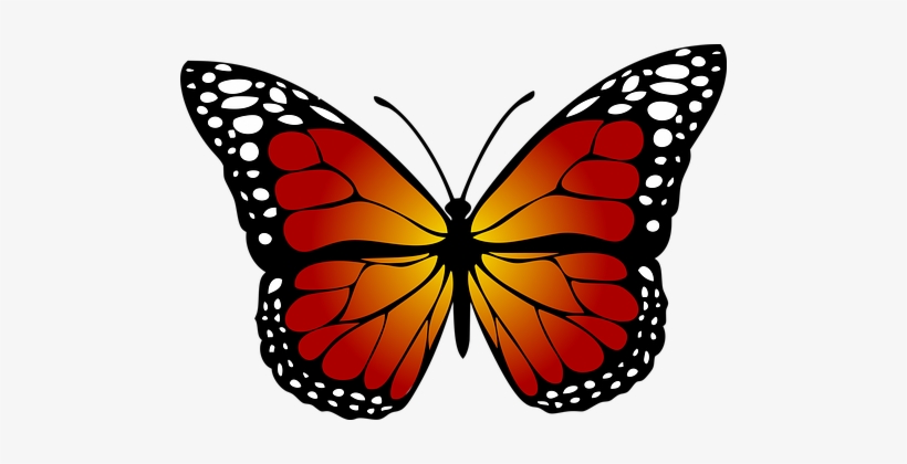 Monarch Butterfly Clipart Real - Monarch Butterfly Clipart, transparent png #2270088
