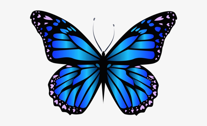 Blue Butterfly Png Clipar Image - Butterfly Png, transparent png #2270161