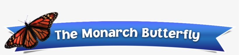 We're Taking Action To Protect The Monarch Butterfly - Monarch Butterfly, transparent png #2270187