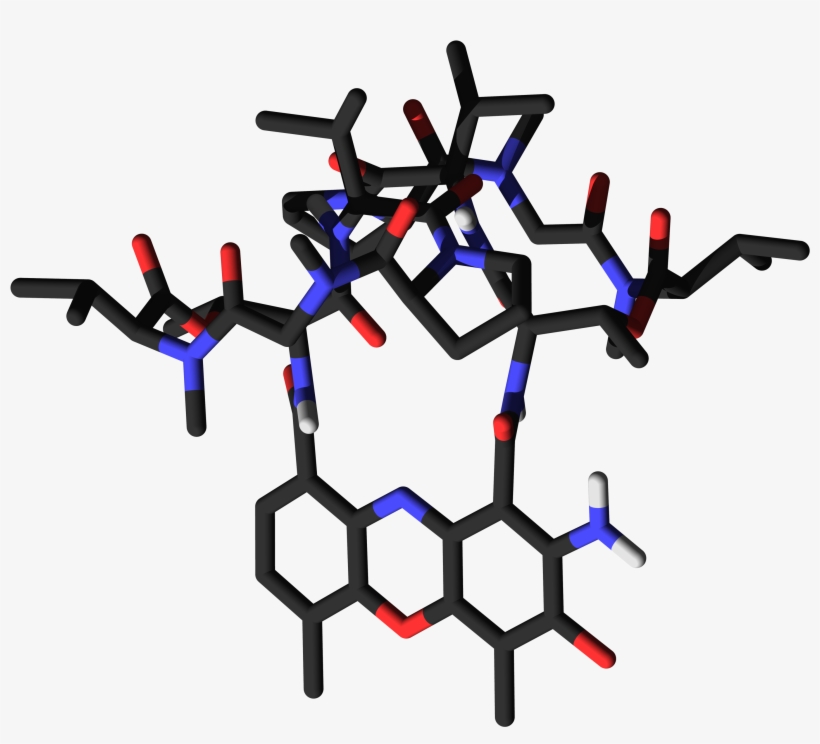 Actinomycin D Sticks - Intercalate Actinomycin D, transparent png #2270223