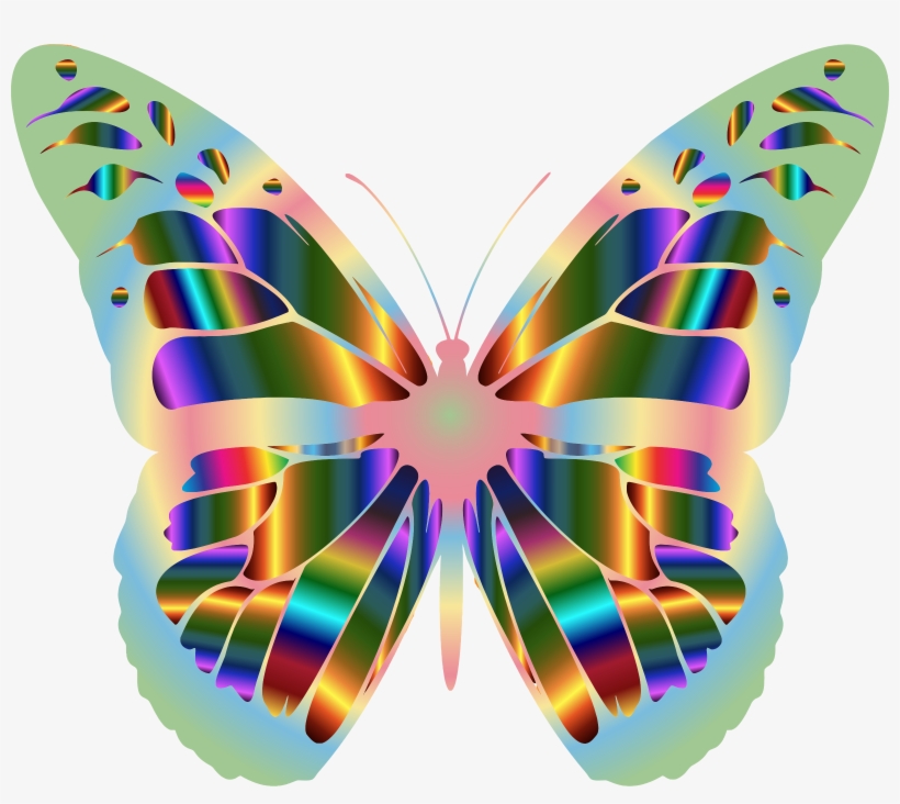 Monarch Butterfly Outline Drawing Clip Art, transparent png #2270241