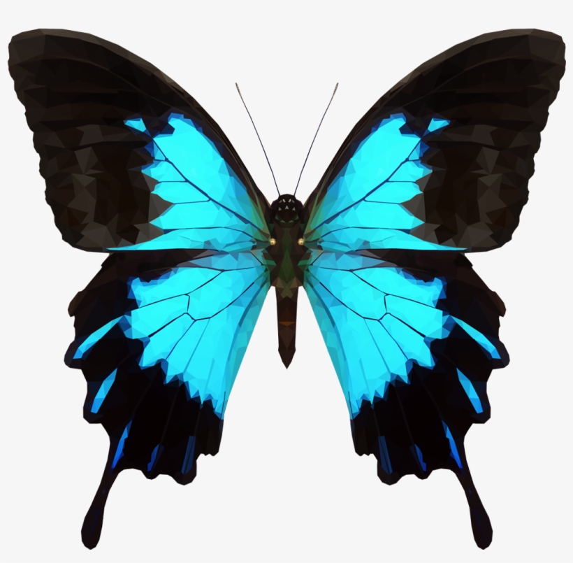 Emmasimoncic - Tumblr - Com - Low Poly Butterfly - - Ulysses Butterfly, transparent png #2270347