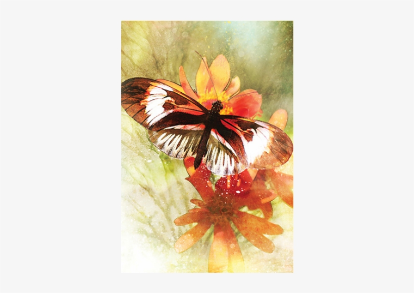 Inspirerende Affirmatiekaarten - Alana Fairchild, transparent png #2270587