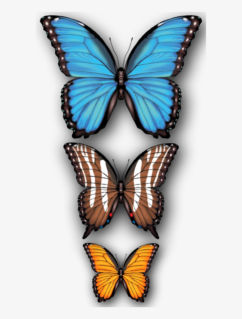 Butterflies - Papilio, transparent png #2270639