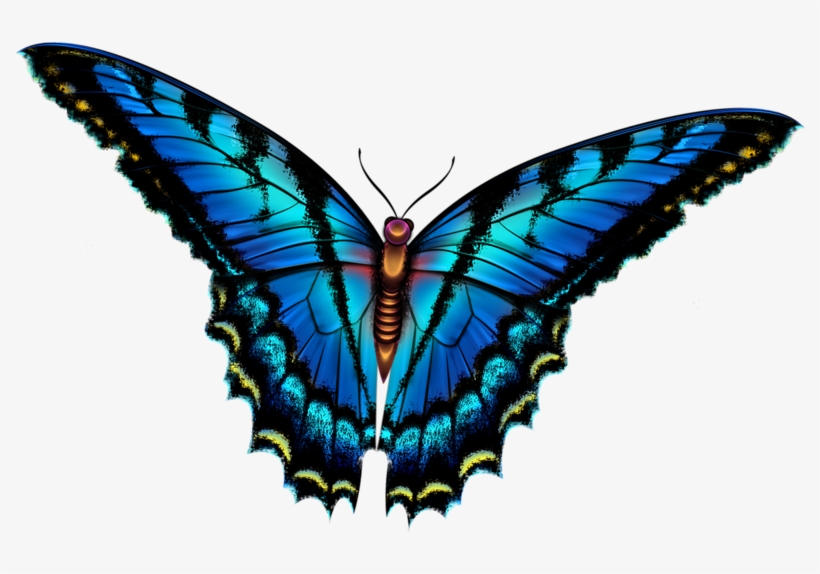 Butterfly - Smokey Mountain Butterflies In Field License Plate, transparent png #2270730