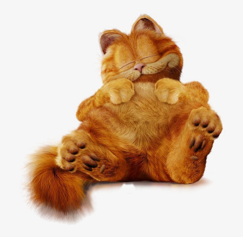 Garfield Movie Png, transparent png #2270941