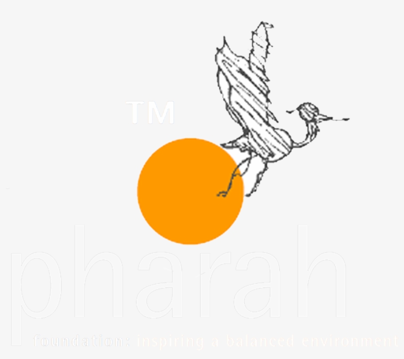 Icon Logonew Header Colour White1 - Foundation, transparent png #2271440