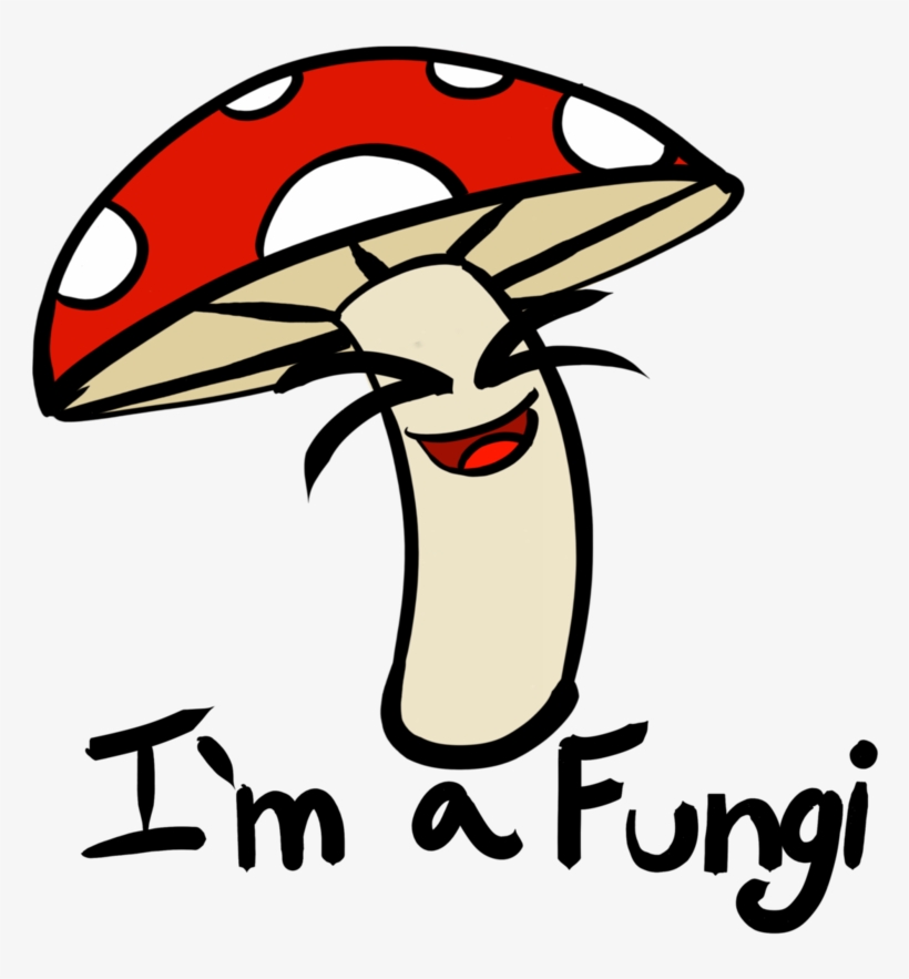 Picture Transparent Champagne Line Art Clip Transprent - Fungi Cartoon, transparent png #2271853