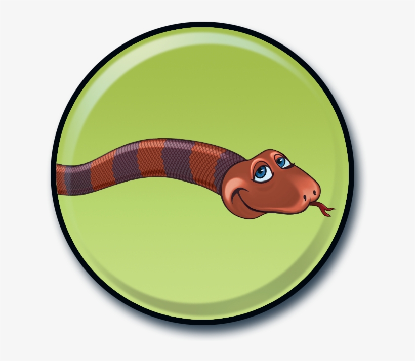 Fun Fact Snakes Have Rows Of Teeth - Snakes, transparent png #2272838