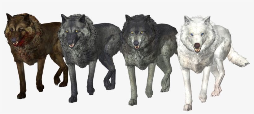 Wolf Pack Free Png Image - Pack Of Wolves Png, transparent png #2275117