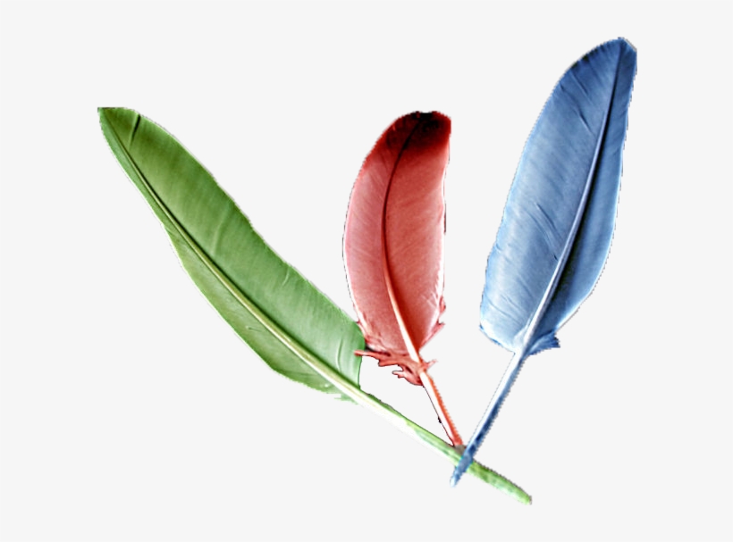 Las Tres Plumas - Memes Descifra El Mensaje, transparent png #2277818