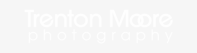 Let's Talk - Steve Williams, transparent png #2277965
