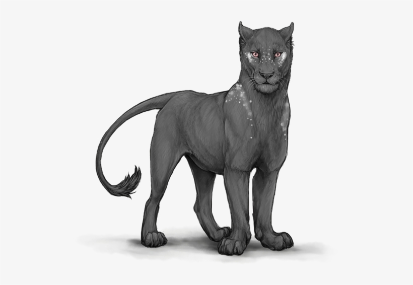 32nnrcc - Portable Network Graphics, transparent png #2280143