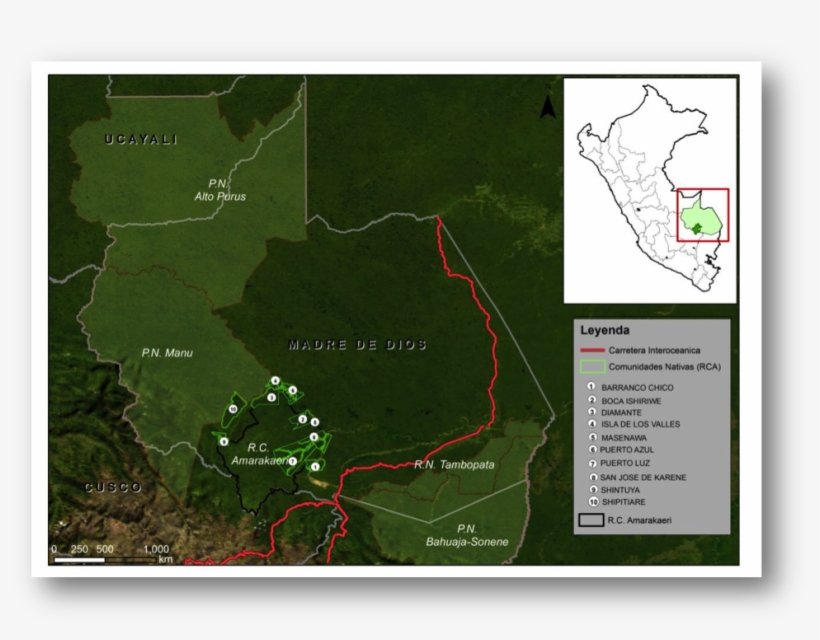 Amazonas - Reserva Comunal Amarakaeri, transparent png #2280710