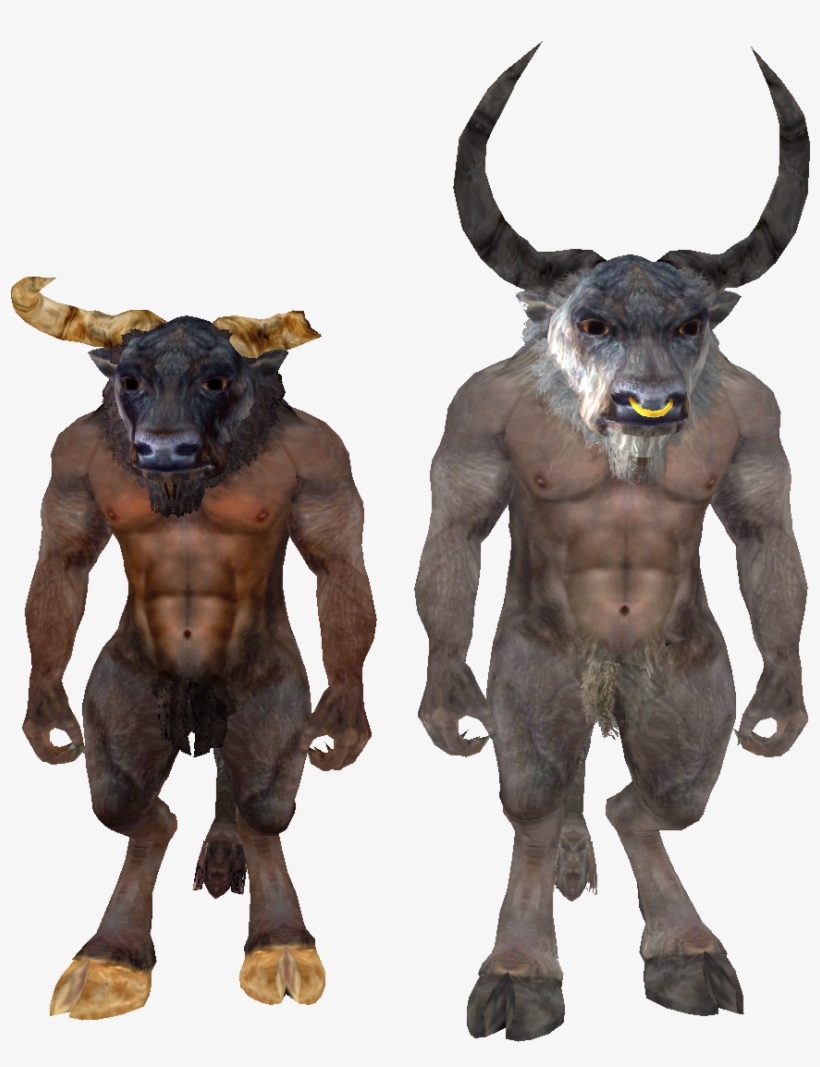 Beast Oblivion Minotaur - Minotaur Oblivion, transparent png #2280929