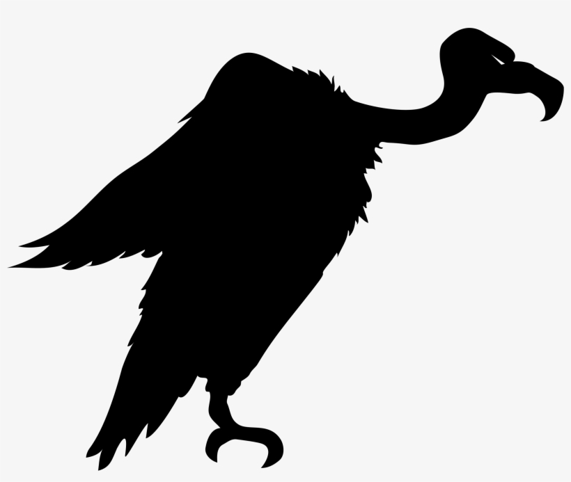 Big Image - Silhouette Of Vulture, transparent png #2282018
