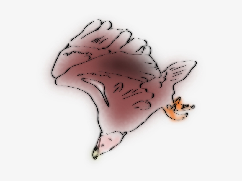 Vulture Svg Clip Arts 600 X 569 Px, transparent png #2282417