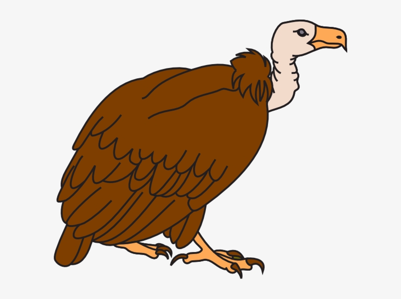 Colored Cartoon Vulture Tattoo On Bicep - Vulture Images Clip Art, transparent png #2282461