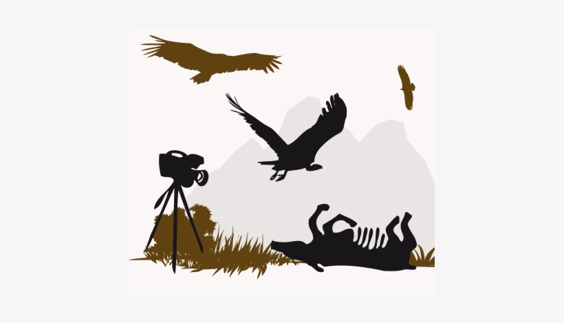 Official Website Lago Di Cornino Natural Reserve - Vulture Silhouette, transparent png #2282527