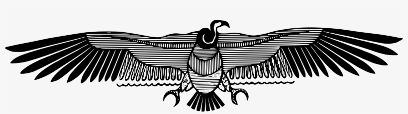 Stylised Vulture Icons Png - Vulture Stencil, transparent png #2282551