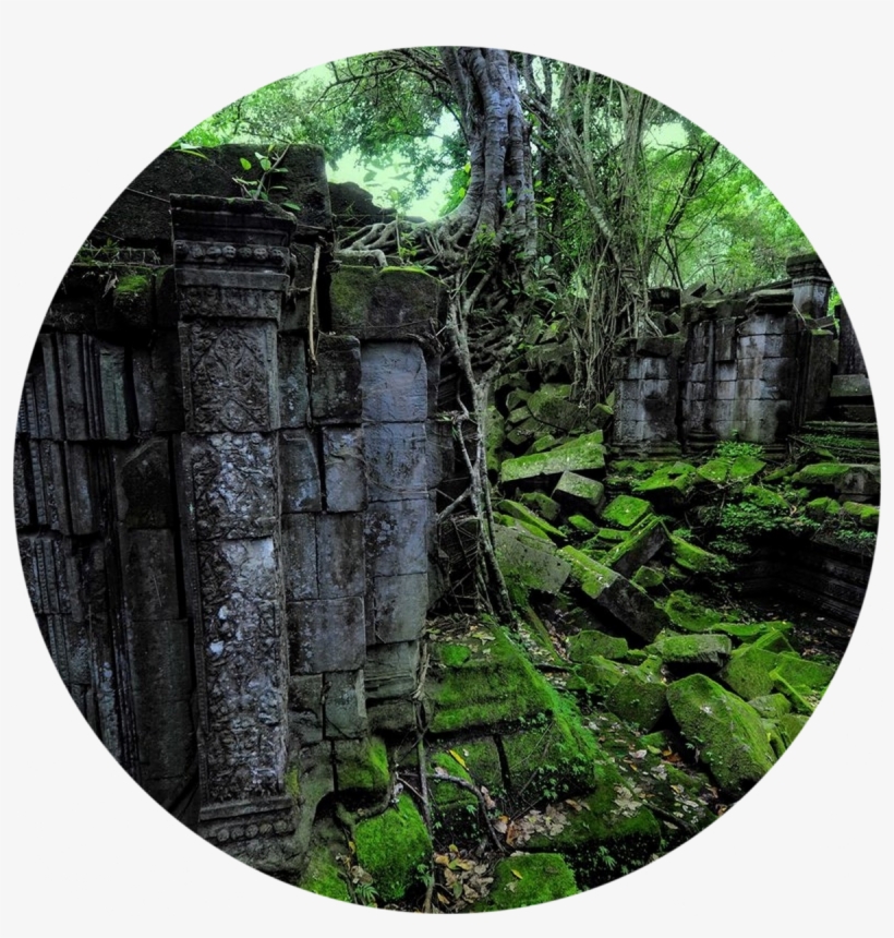 Transient Ruins - Dżungla Ruiny, transparent png #2282615