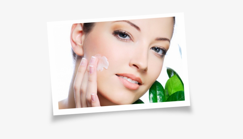 Mogador Argan Oil Night Cream Normal To Dry, transparent png #2283934