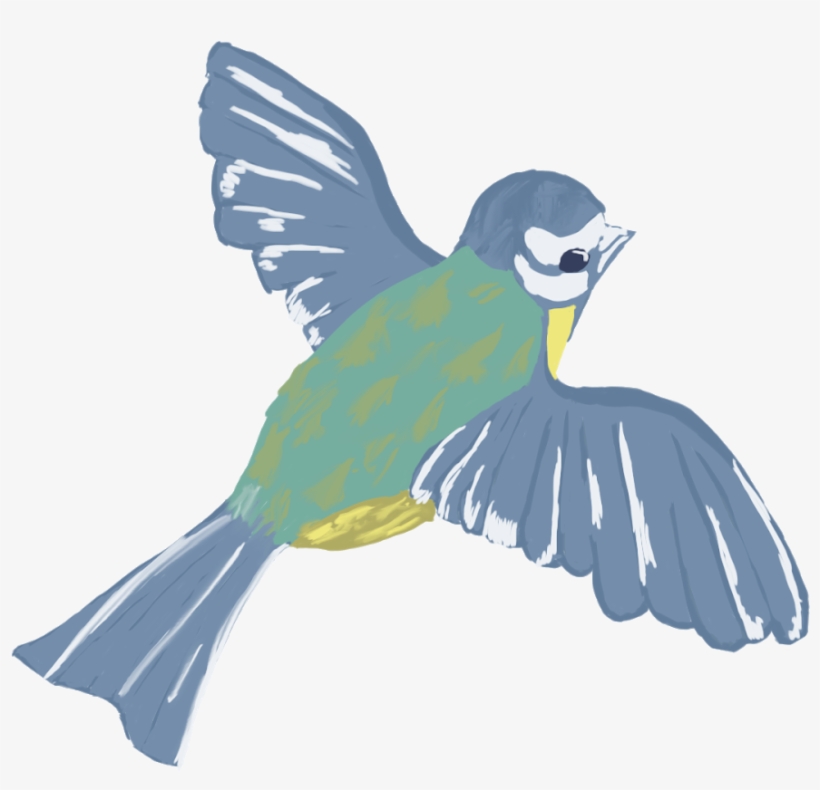 For People From Other Path Than 2d The Task Was To - Chickadee, transparent png #2285274