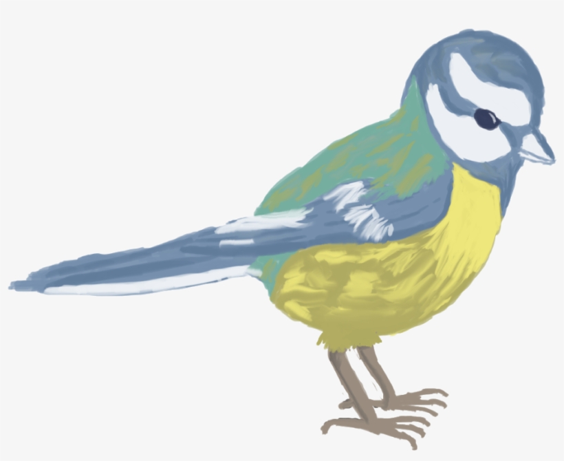 For People From Other Path Than 2d The Task Was To - Green Jay, transparent png #2285315