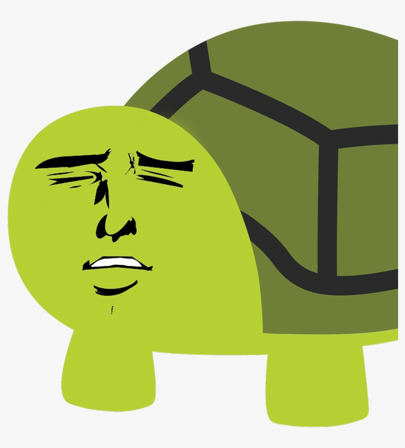 Turtle Emoji Meme