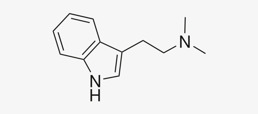 Dmt Tattoo - Dmt Molecule Png, transparent png #2285914