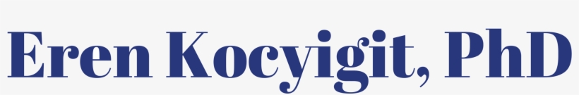 Eren Kocyigit, Phd - Marketing, transparent png #2286268