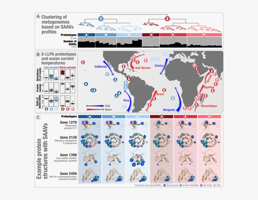 Murat Eren, Department Of Medicine, University Of Chicago - Metagenomics Experimental Design, transparent png #2286546