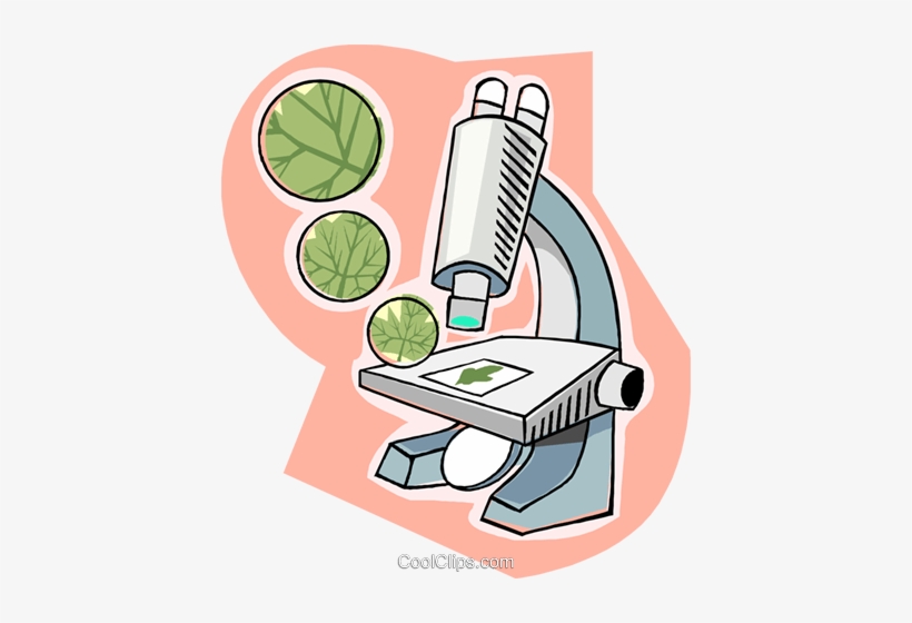 Microscope, Biology Royalty Free Vector Clip Art Illustration - Microscope With Slide Clip Art, transparent png #2286578