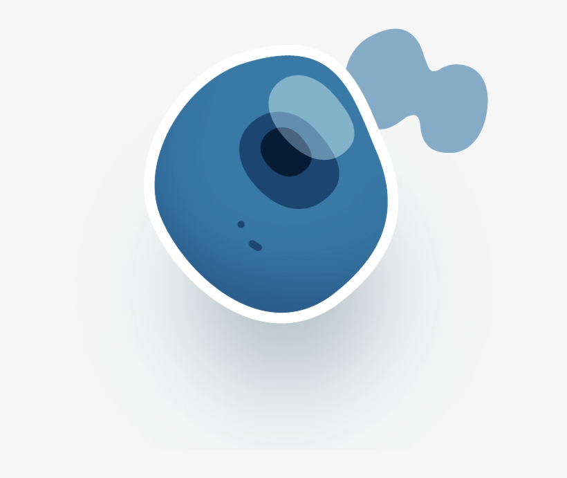 Cell Biology - Cell Biology Png, transparent png #2286724