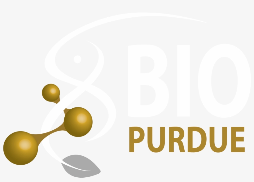 Biological Sciences Logo 2017 Grey Leaf White And Gold-640x423 - Purdue Biology, transparent png #2286928