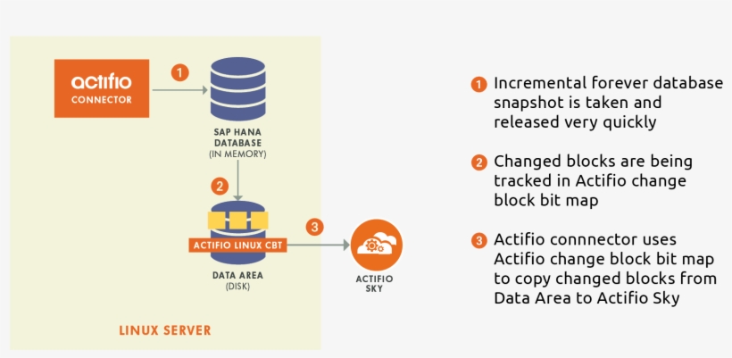 Actifio For Sap Hana - Actifio, transparent png #2286948
