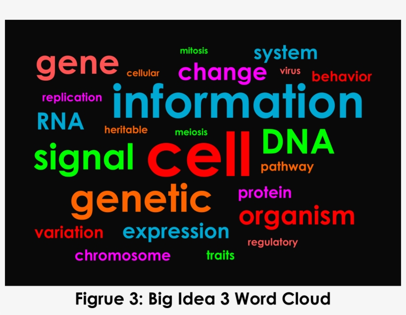 Big Idea 3 Word Cloud - Big Biology Words, transparent png #2287175