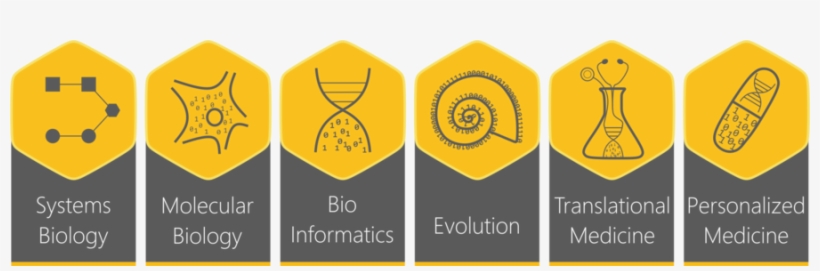 Download International Conference On Integrative Biology - Integrative Biology, transparent png #2287278