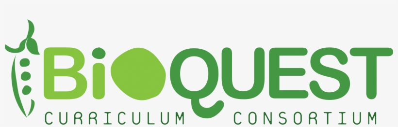 A 29-year Biology Education Reform Community That Focuses - Qualitas Of Life Foundation, transparent png #2287299