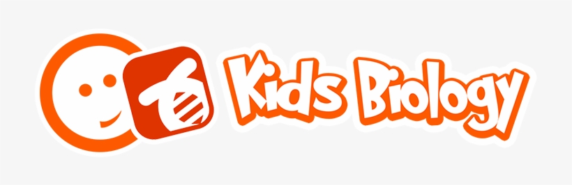 Toggle - Kids Biology Logo, transparent png #2287414