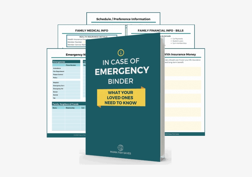 Vicki Cook - Budget, transparent png #2288092