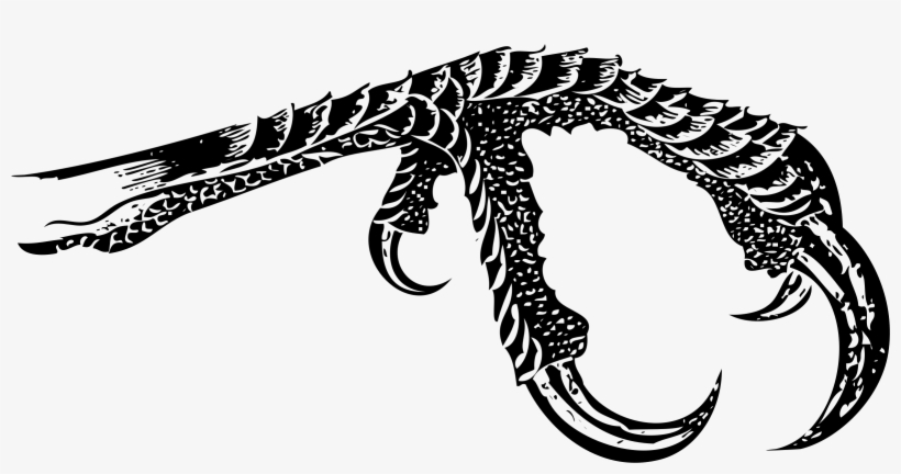 Bird Icons Png Free - Bird Claw Png, transparent png #2288226