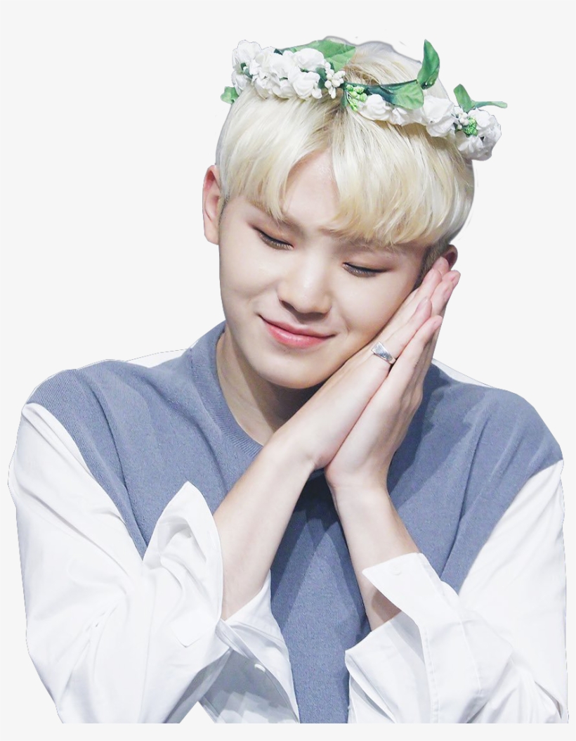 Woozi Seventeen - Woozi Seventeen Stickers Png, transparent png #2288463